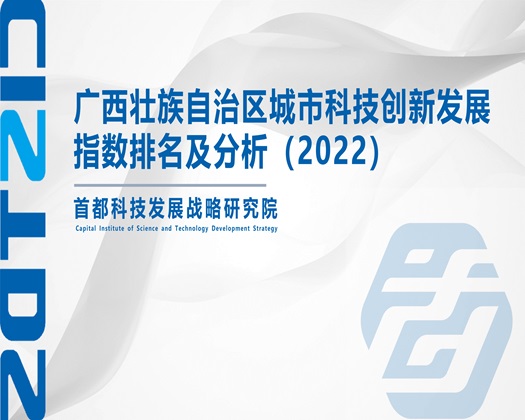 欧美艹逼视频哦哦哦【成果发布】广西壮族自治区城市科技创新发展指数排名及分析（2022）